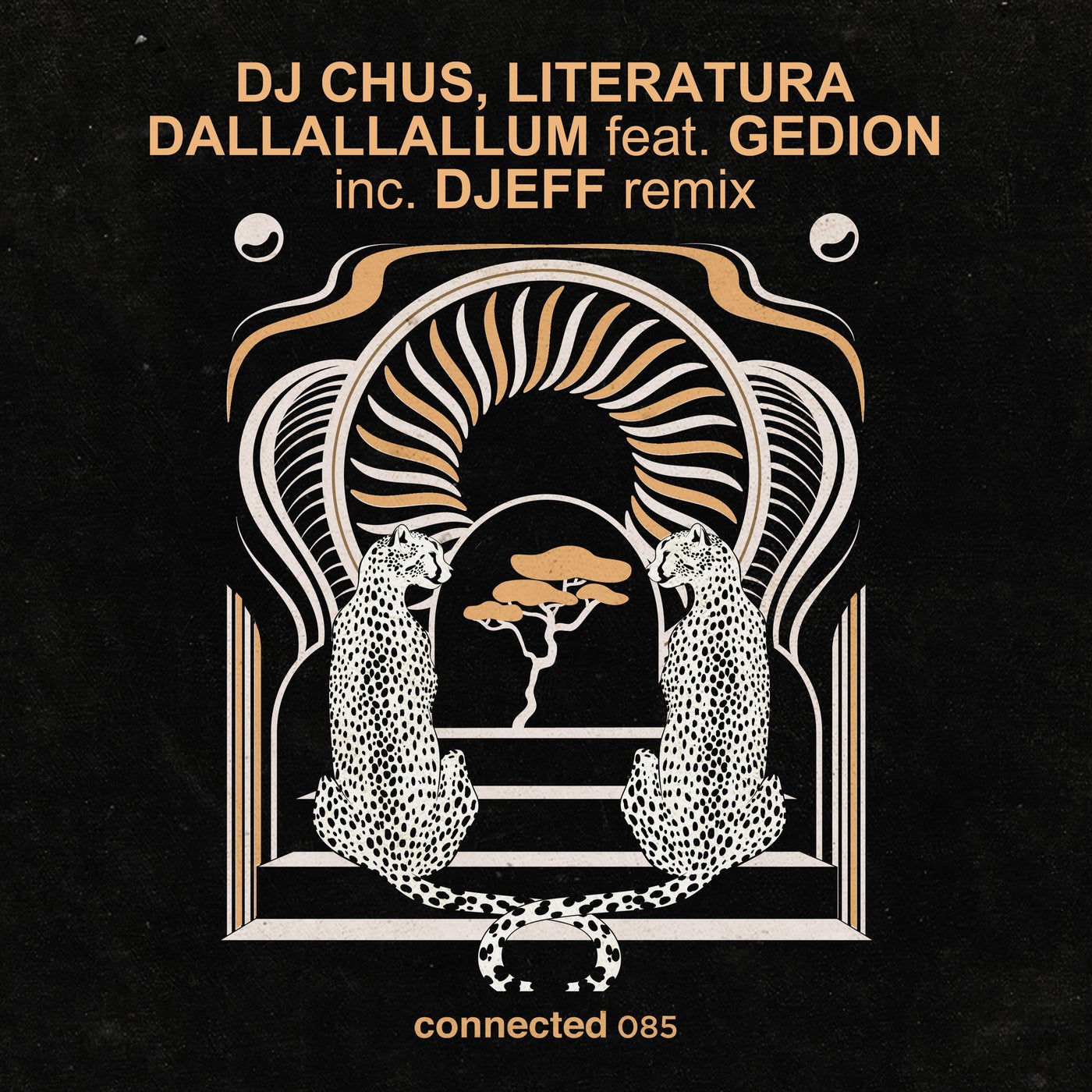 Literatura, DJ Chus – Dallallallum EP [CONNECTED085]